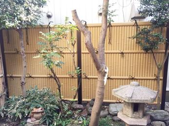 店舗内装に引き続き中庭も綺麗になりました。お客様にも喜んでいただけると良いです。